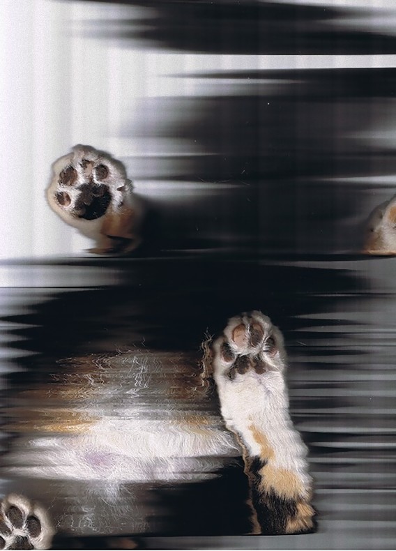 14_e