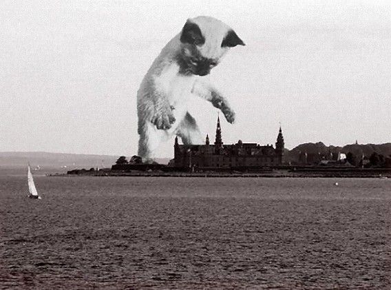 catzilla_atack_04_e