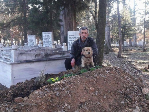 主人が亡きあとも墓守りとしてその棺を守り続ける犬（トルコ）