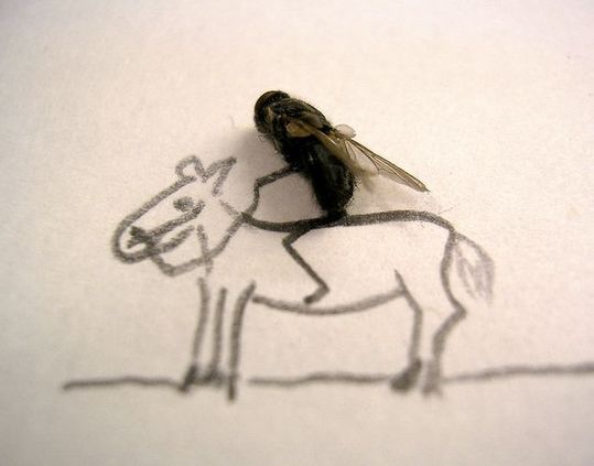 dead_flies_04