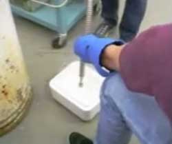 科学の名のもとに？ゴキブリ退治に液化窒素を投入