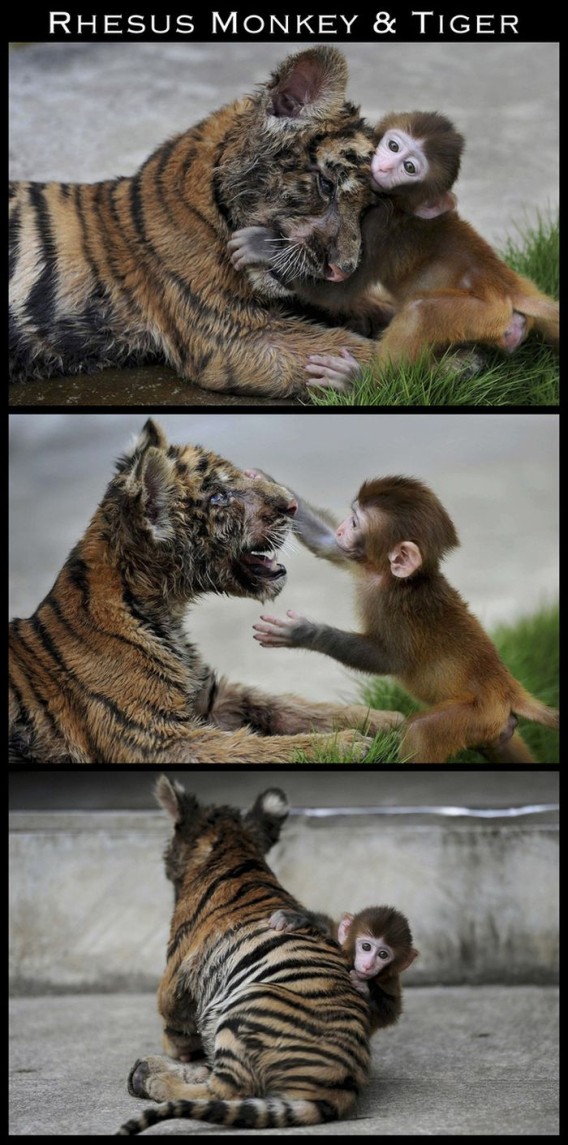 friendships_15_e