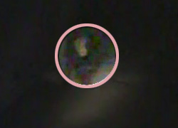 海外流出「おわかり」シリーズ、病院廃墟に潜む霊