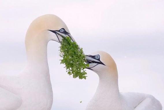 beautiful_award_winning_photos_25