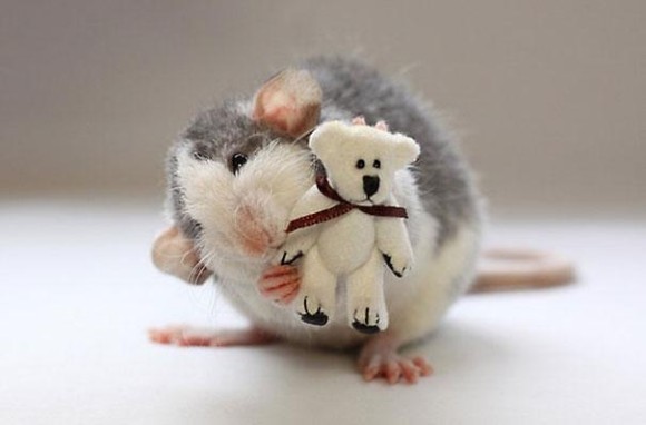 rats-with-teddy-bears-ellen-van-deelen-4_e