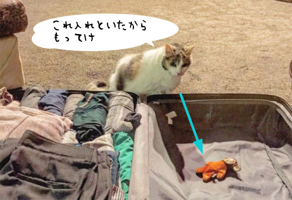 「これもってけ」旅行のパッキングをしていると、必ずスーツケースにお気に入りのぬいぐるみをいれてくる猫