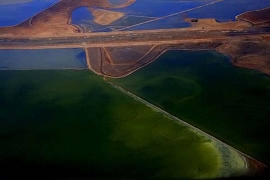 colored-salt-ponds-09