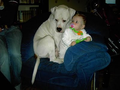 kids-and-animals-06