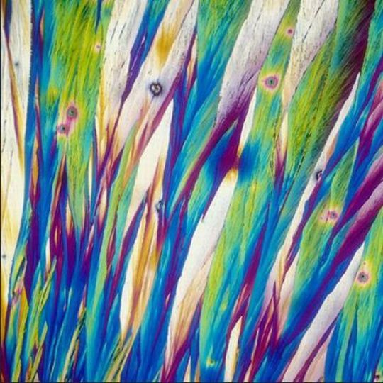 alcoholic_cocktails_under_microscope_08