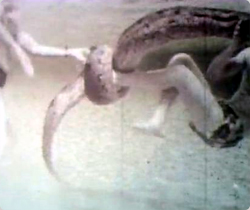 全長6メートルのアナコンダと水中で戦った親子の記録（1960年代）