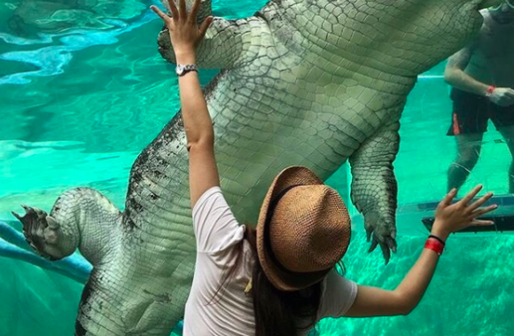 croco5_e