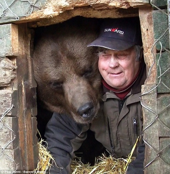 孤児となったヒグマを世話することに人生を捧げたフィンランドのクマおじさん
