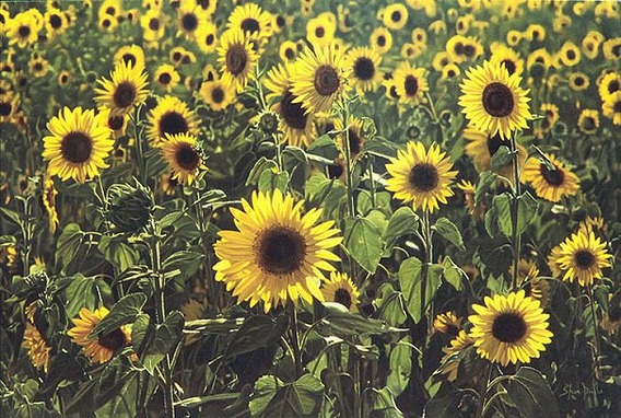 hyper_realistic_paintings_22