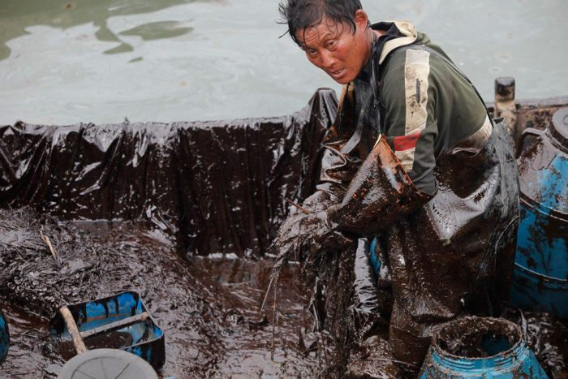 cleaning_dalian_harbor_03