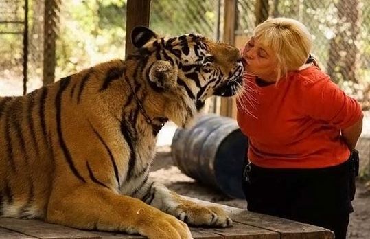 most_unusual_pets_01