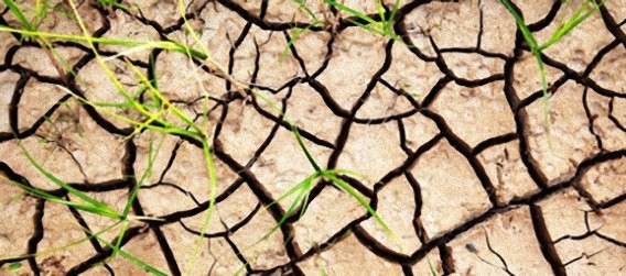 アメリカ、観測史上最高の暑さを記録(1月~8月)