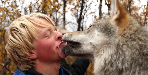 死ぬまでに一度は行きたい。オーロラの光に包まれオオカミとキスできる場所、ノルウェー「ポーラパーク（北極圏野生生物保護センター）」