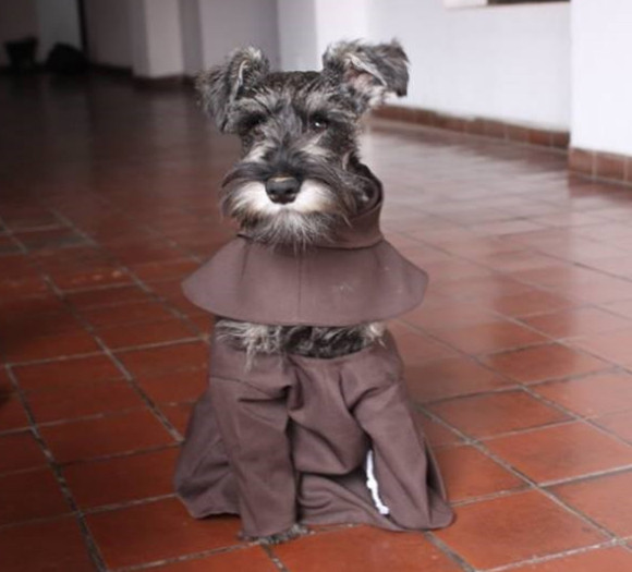 敬虔なる修道犬となった保護犬（ボリビア）