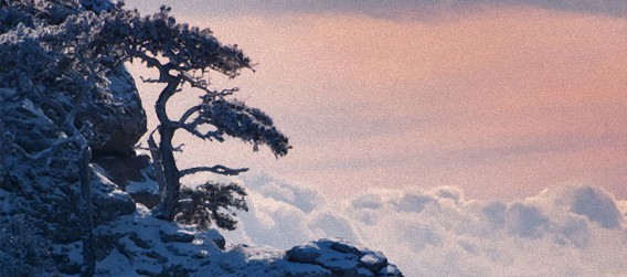 水墨画を見ているよう、冬のクリミア半島の透き通った美景