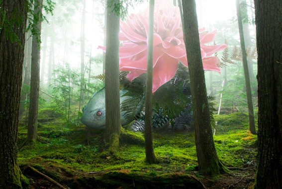 wfdj_A_Wild_Venusaur_Appears_by_Ikioi