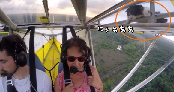 逃げて～っ！いやじっとしてて～～！！小型飛行機で空に飛び立ったら翼に猫が！！