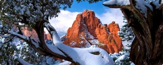 まるで絵画！偽りのない自然と動物のミラクルな写真特集