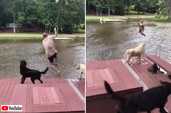 「水は危険！助けなきゃ！」ロープ遊びで池に落ちた飼い主を助けようと、咄嗟に池に飛び込んだ2匹の犬
