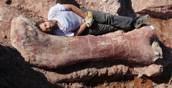 世界最大か！？アルゼンチンで発見された巨大恐竜の化石