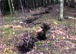 アポカリプティック序曲？米ミシガン州の森で突然巨大な地割れが発生