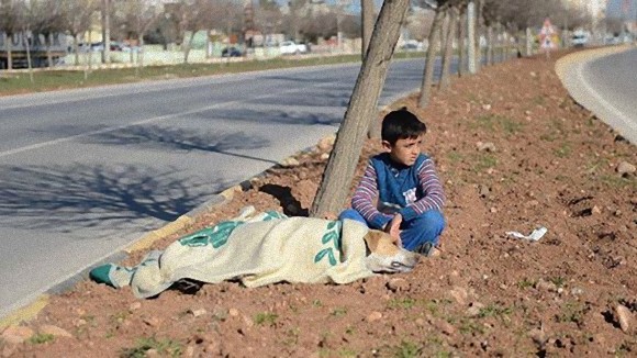 シリア難民の少年、かけがえのない自分の毛布を車にひかれて横たわる犬にかけ、救助を待ち続ける（トルコ）