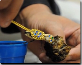 生きている昆虫ブローチをつけていたメキシコ人女性、アメリカの税関にて没収される