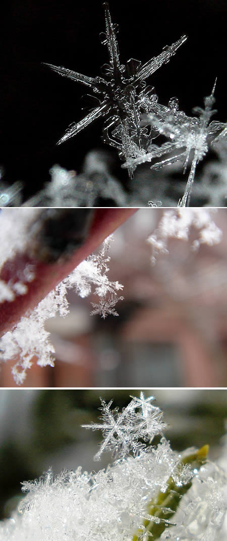 a96726_a474_snowflakes