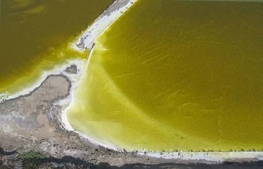 colored-salt-ponds-02