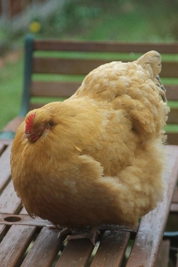 3_e0