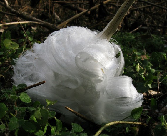 1_e5