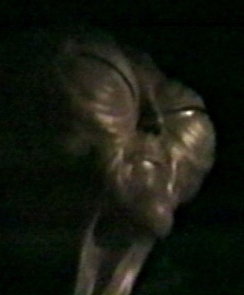 alien-36