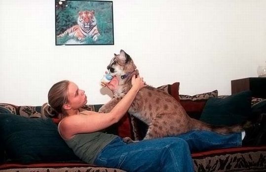 most_unusual_pets_04