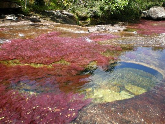 rainbow_river_04