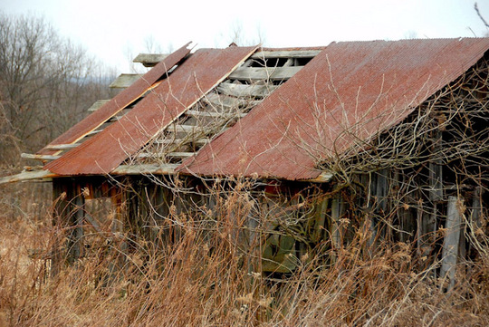 house21