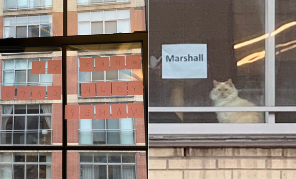 向かい側のビルの窓際にいるかわいい猫。ポストイットを使ってコンタクトを取ってみた。返事がキターッ！（カナダ）
