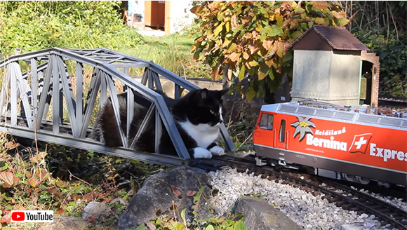 退かぬ！媚びぬ！省みぬ！ポリシーの猫が鉄道模型のレールに鎮座。そこに列車がやってきた！さあ、どうする？