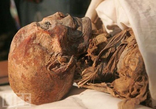 amazing_mummies_15