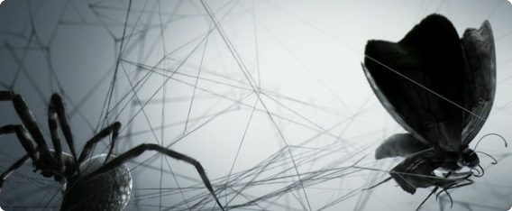 クモの巣にかかった蛾が蜘蛛に捕食されるまでを繊細で精密なフルCGでモデリング「Loom」