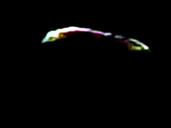 【動画】11月15日ベルギーの上空に現れたレインボーカラーに光るUFO