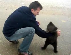 クマが人間男性を襲い手足に噛みつきまくるんだけどなぜかうらやましい映像