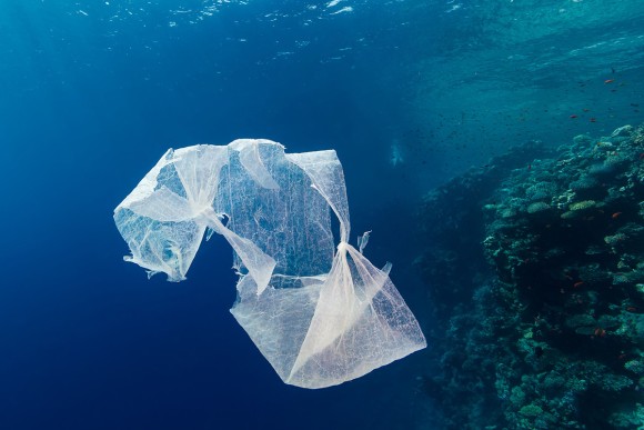 海に投棄されたビニール袋が驚くほど少ない理由。微生物が進化を遂げ分解するようになった可能性（スペイン研究）