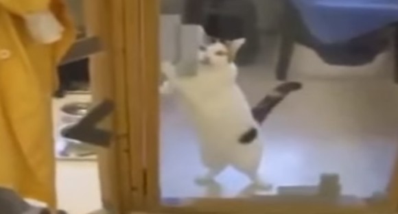 3_e7