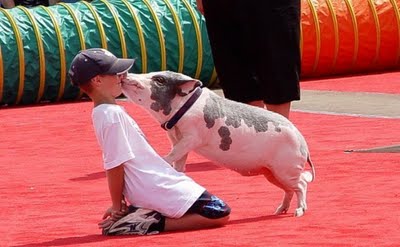 kids-and-animals-31
