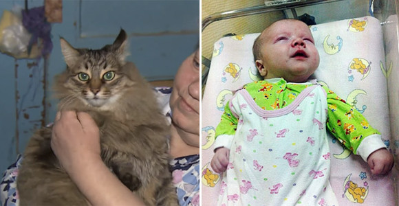 地下に捨てられたていた赤ちゃんをあたため続け命を救った猫（ロシア）