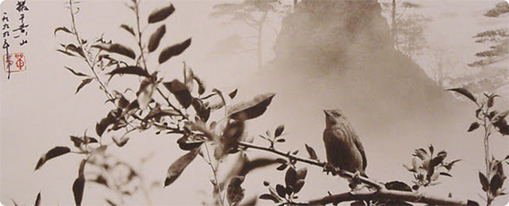 山水画を写真で再構築、『ピクトリアリスム』で蘇る立体感を増した伝統の風景